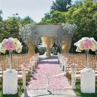 /album/virag-dekoracio/image475x475-3-jpg/